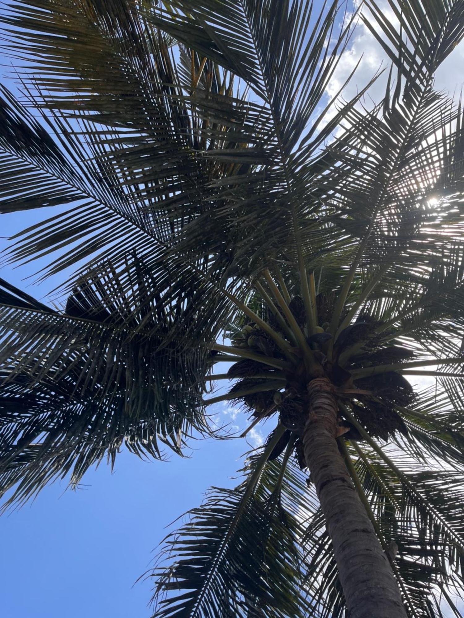 מלון ארוגם Crystal Bay מראה חיצוני תמונה